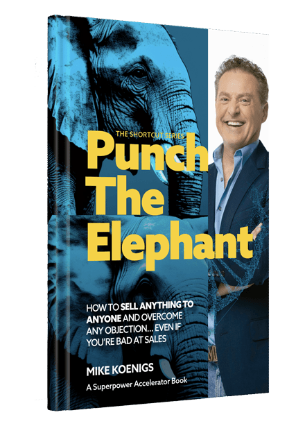Punch The Elephant - By Mike Koenigs